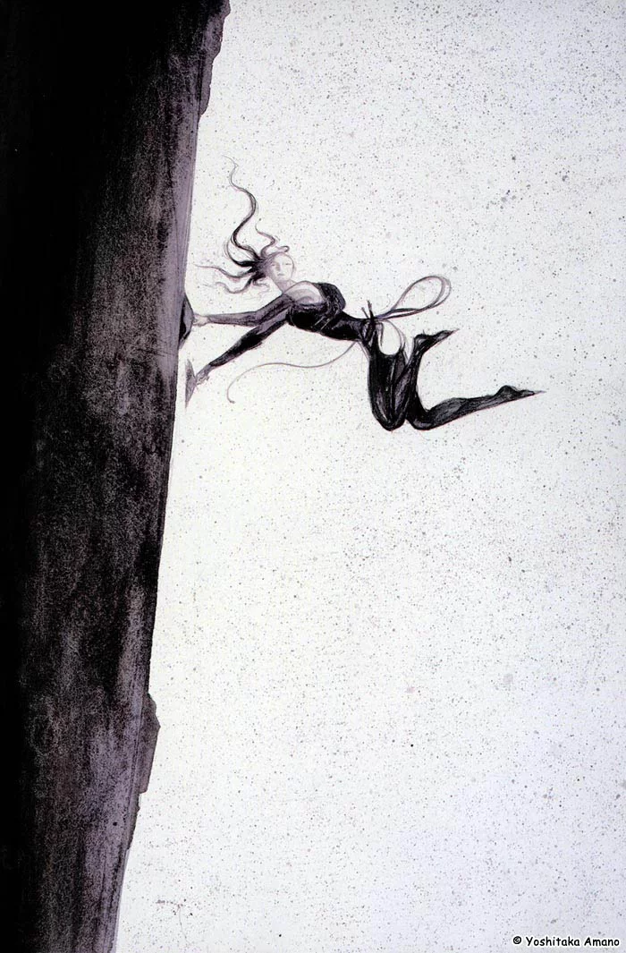 Yoshitaka Amano — Électra et Wolverine : Danse aérienne — Elektra & Wolverine