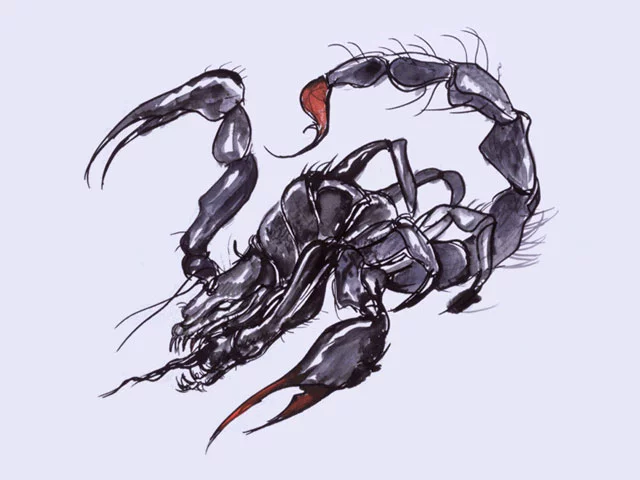 Yoshitaka Amano — Le Scorpion de la Légende — Final Fantasy I