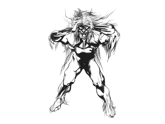 Yoshitaka Amano — Legendary Warrior — Final Fantasy I