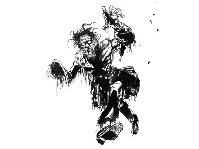 Yoshitaka Amano — Le Guerrier Maudit — Final Fantasy I
