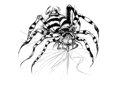 Yoshitaka Amano — The Demonic Spider