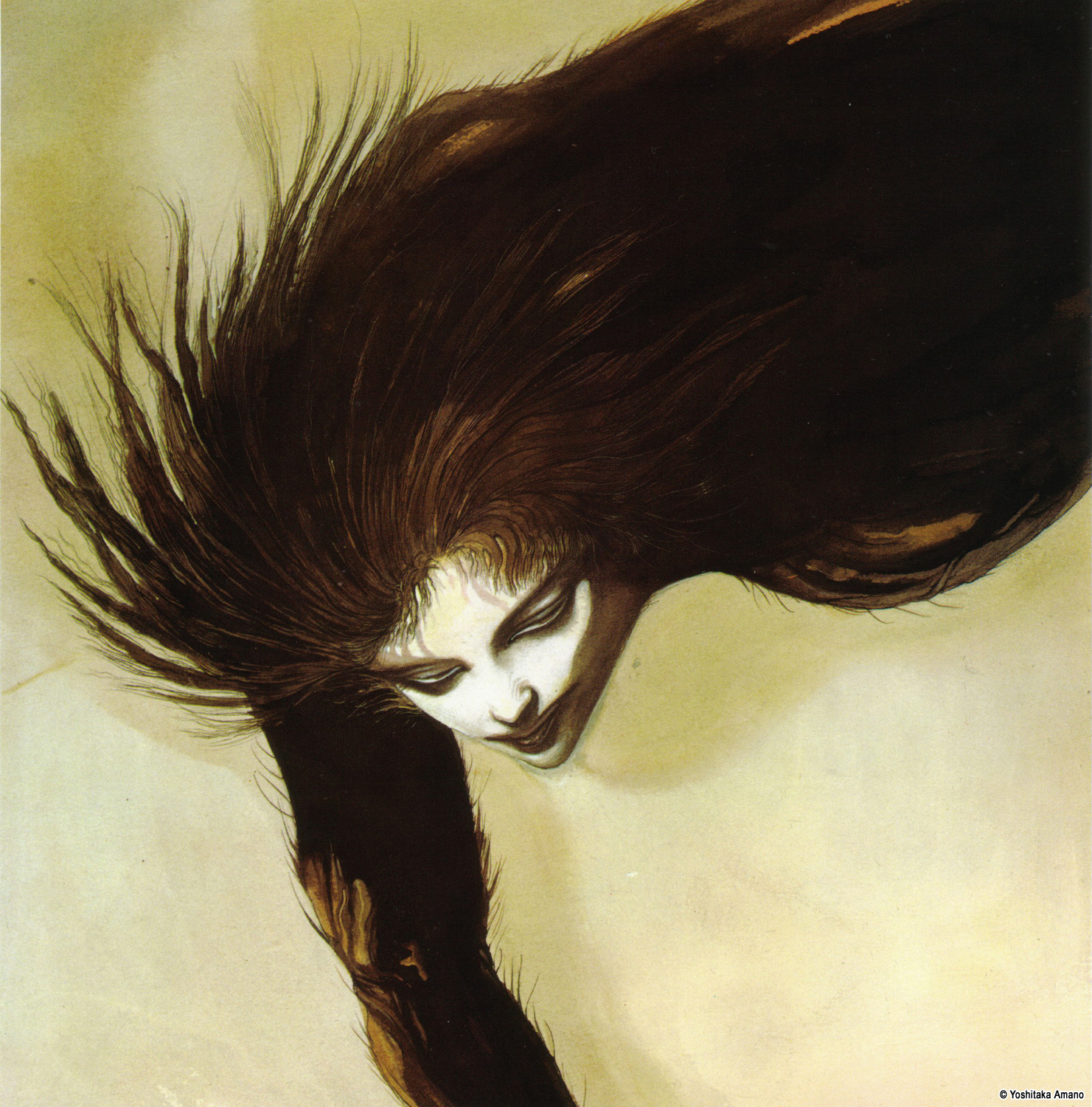 Yoshitaka Amano — The Black-Haired Lady — Maten