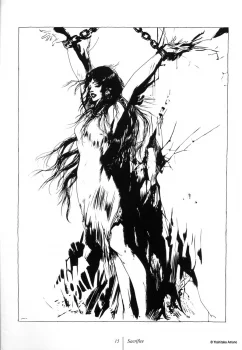 Yoshitaka Amano — Mono 13