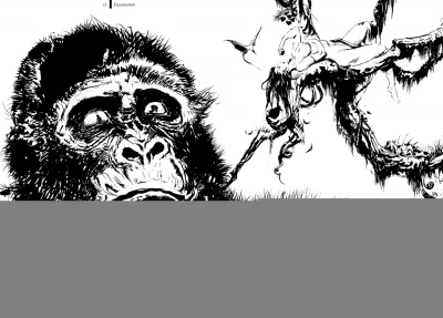 Yoshitaka Amano — Mono 2 12
