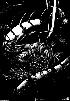 Yoshitaka Amano — Mono 2 13
