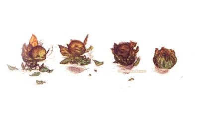 Yoshitaka Amano — New York Salad 07