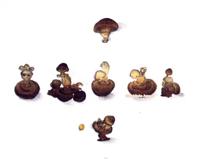 Yoshitaka Amano — New York Salad 09