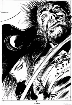Yoshitaka Amano — Black & White 17