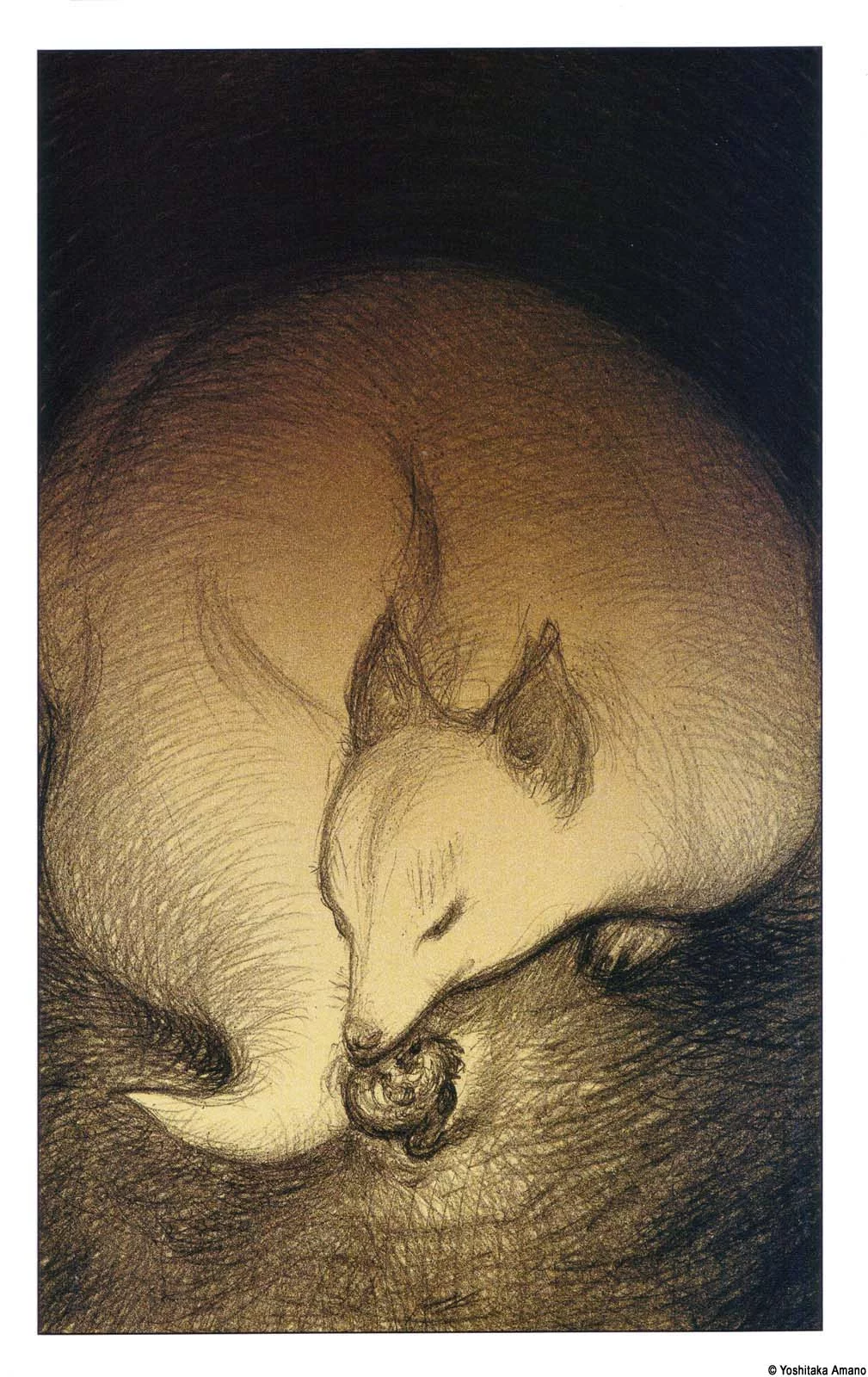 Yoshitaka Amano — The Sandman 05 — The Sandman