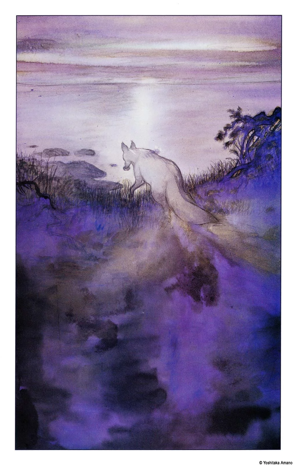 Yoshitaka Amano — The Sandman 06 — The Sandman