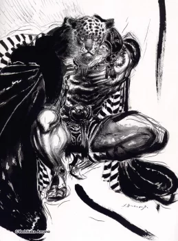 Yoshitaka Amano — Think Like Amano 46